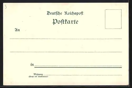 Lithographie Bad Schandau, Dampfer Pillnitz und Blick zum Ort, beleuchtete Fenster
