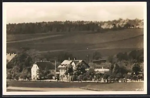 AK Colditz i. Sa., Hotel Waldschänke, Bes. Hugo Vogel, Ansicht mit Dorfpartie