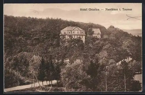 AK Nastätten /Ts., Hotel Oranien mit Strasse und Umgebung aus der Vogelschau