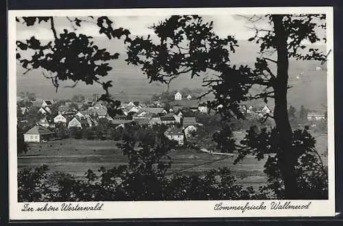 AK Wallmerod /Westerwald, Totalansicht vom Wald aus