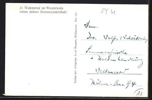 AK Wallmerod /Westerwald, Totalansicht vom Wald aus