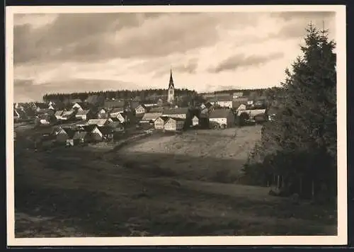 AK Frankenheim /Rhön, Ansicht vom Waldrand aus