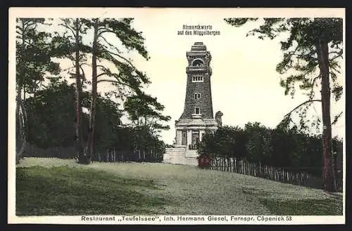 AK Berlin-Köpenick, Restaurant Teufelssee, Bismarckwarte auf den Müggelbergen