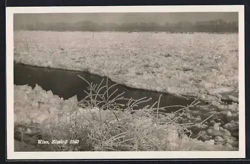 AK Wien, Eisstoss 1940, Aufgetürmtes Eis mit Wasserrinne und vereisten Zweigen