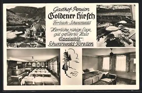 AK Forbach /Schwarzw., Vier Ansichten von Gasthof-Pension Goldener Hirsch