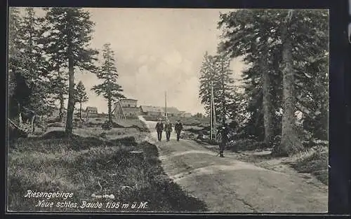 AK Neue Schlesische Baude /Riesengebirge, Waldstrasse vor der Baude