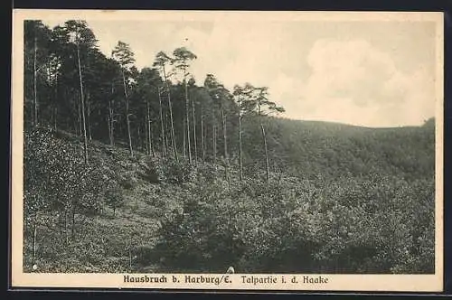 AK Hamburg-Harburg, Talpartie in der Haake