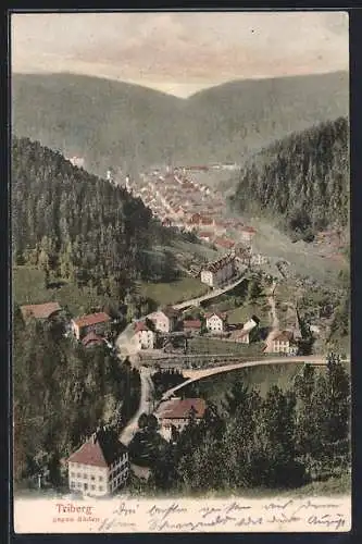 AK Triberg, Teilansicht mit Strassenpartie gegen Süden