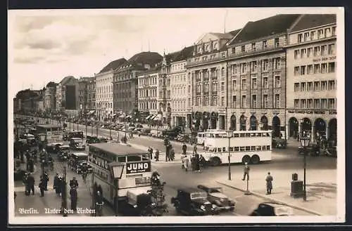 AK Berlin, Unter den Linden mit Bussen, Autos und Fussgängern