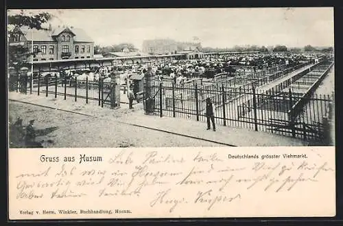 AK Husum / Nordsee, Viehmarkt, Gelände mit Vieh, Händler, Gebäude