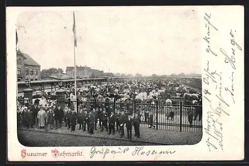 AK Husum / Nordsee, Viehmarkt mit Händlern und Vieh