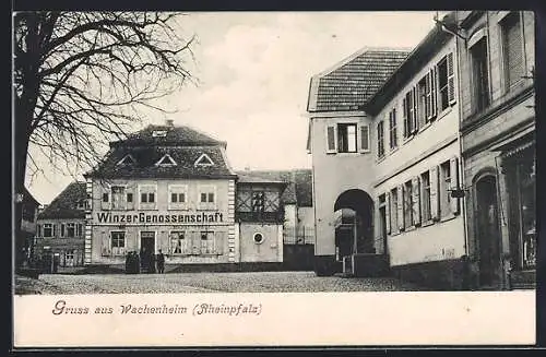 AK Wachenheim /Rheinpfalz, Gasthaus der Winzer-Genossenschaft mit Strassenpartie