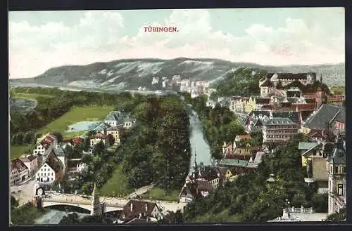 Künstler-AK Tübingen, Generalansicht mit Burg Hohentübingen und Neckarbrücke