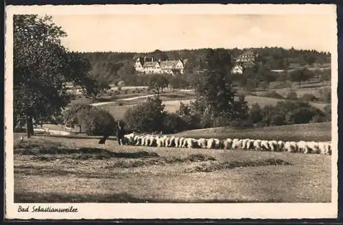 AK Bad Sebastiansweiler, Ortsansicht mit Schafherde, Schäfer, Hund