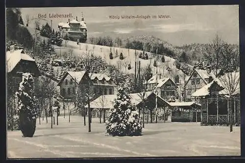 AK Bad Liebenzell, König Wilhelm-Anlagen im Winter