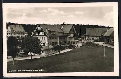 AK Eisenbach /Schwarzwald, Ortspartie mit Anlage und Strasse