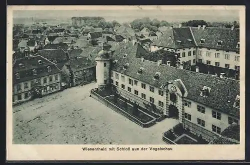 AK Wiesentheid, Strassenpartie mit Schloss aus der Vogelschau