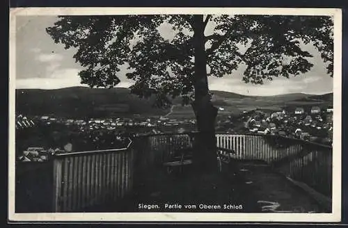 AK Siegen, Partie vom Oberen Schloss mit Baum