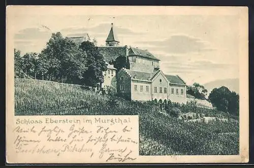 AK Gernsbach /Murgthal, Schloss Eberstein mit Feld