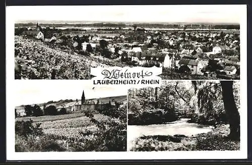 AK Laubenheim /Rhein, Teilansicht, Uferpartie, Ortspartie