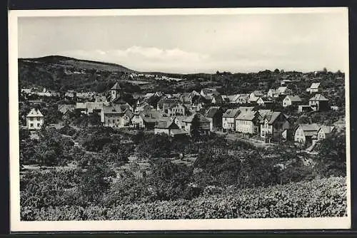 AK Bad Dürkheim-Seebach a. d. Weinstrasse, Teilansicht