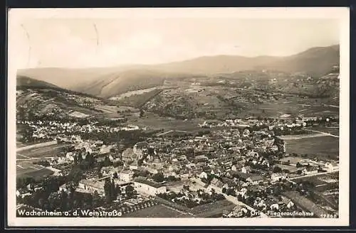 AK Wachenheim a. d. Weinstrasse, Teilansicht, Fliegeraufnahme