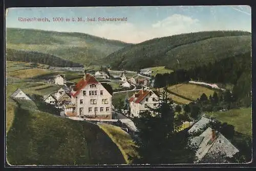 AK Eisenbach / Schwarzwald, Teilansicht aus der Vogelschau