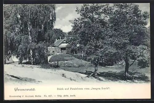 AK Berlin-Grunewald, Blick auf Paulsborn vom langen Luch