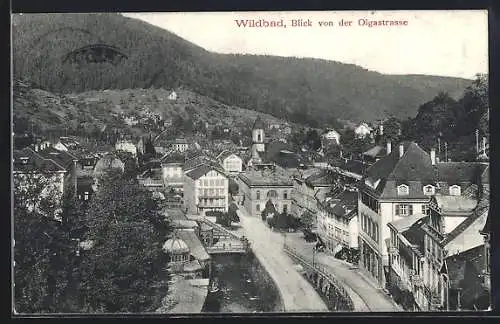 AK Bad Wildbad, Blick von der Olgastrasse