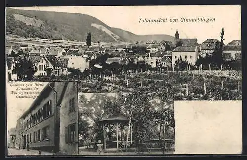 AK Gimmeldingen, Gasthaus zum Hirsch Ausschank der Winzergenossenschaft, Garten, Totalansicht