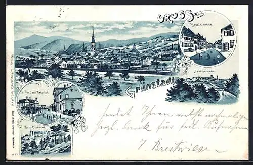 Lithographie Grünstadt / Pfalz, Post mit Bahnhof, Burg Altleining, Neuleiningen