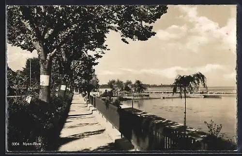 AK Nyon-Rive, Vue générale