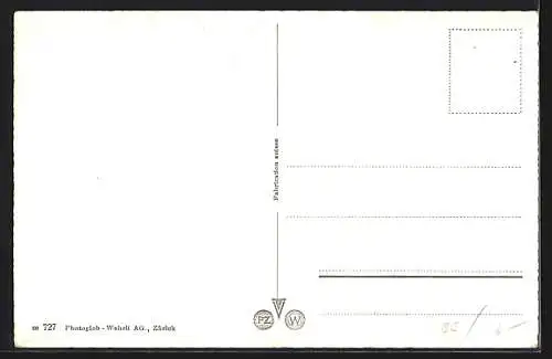 AK Twann-Douanne, Blick von Weinbergen auf den Ort