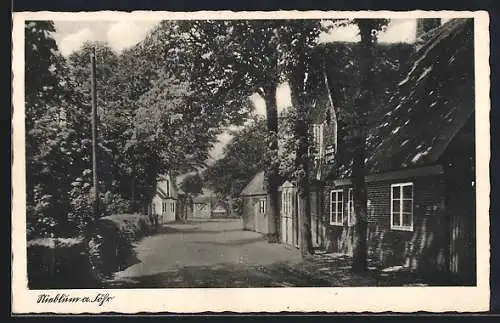 AK Nieblum a. Föhr, Strassenpartie mit Bäumen