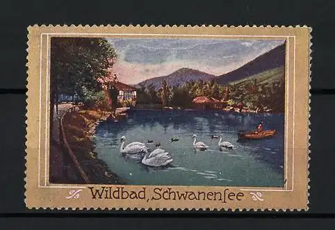 Reklamemarke Wildbad, Schwanensee, Schwäne auf See