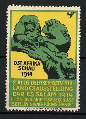 Reklamemarke Daressalam, Ost-Afrika Schau 1914, Affenillustration