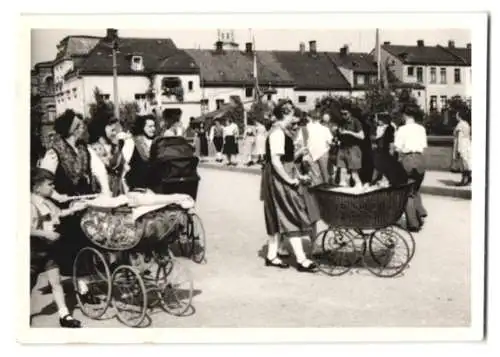 13 Fotografien Weissgärber, Elsterberg, Ansicht Elsterberg i. V., 600 Jahrfeier 1954 mit Festwagen, Wappen, Postkutsche