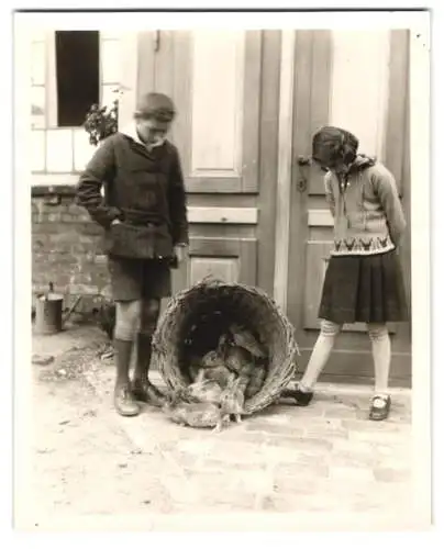 Fotografie 2.WK, zwei Kinder schauen zu wie Hasen aus einen Korb hoppeln