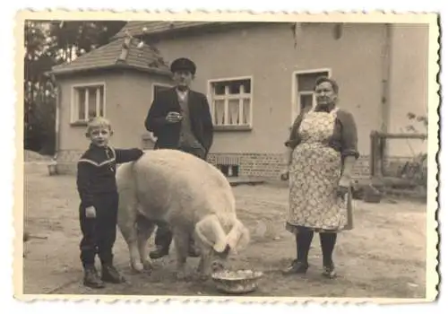 Fotografie unbekannter Fotograf und Ort, Bauernpaar mit Sohn nebst Schwein beim Fressen