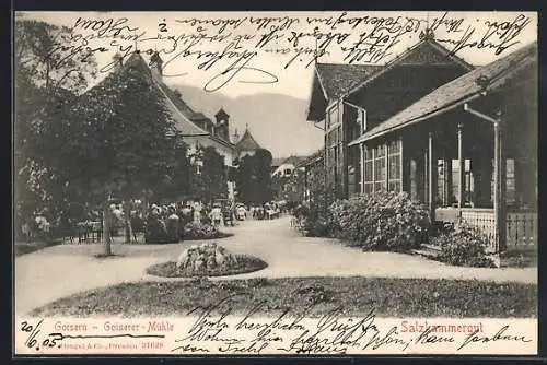 AK Goisern, Etablissement Goisernmühle