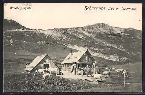 AK Windberg-Hütten mit Viehherde auf der Schneealpe