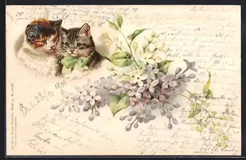 AK Katzen und Blumenstrauss