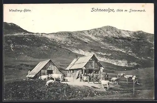 AK Schneealpe, Windberg-Hütten mit Schweinen und Rindern