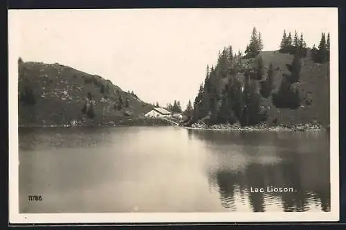 AK Ormont-Dessous, Lac Lioson, Panorama vom Wasser aus