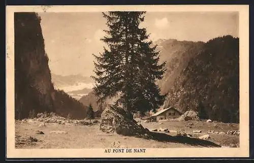 AK Plans-sur-Bex, Pont de Nant, Berghütte mit Blick ins Tal