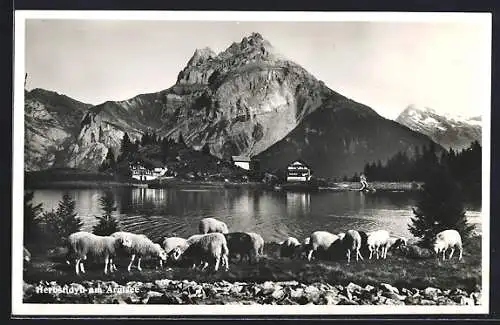 AK Gurtnellen, Arnisee, Herbstidyll am See mit Schafen