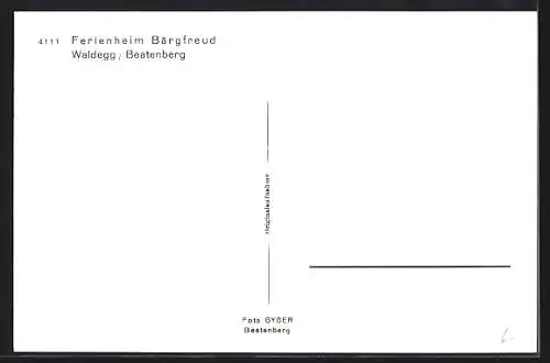 AK Beatenberg, Waldegg, Ferienheim Bärgfreud