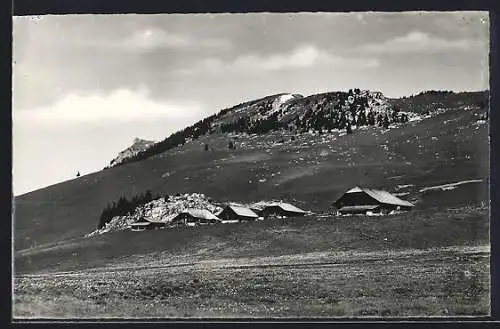 AK Erlenbach im Simmental, Rinderalp