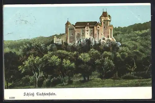 AK Liechtenstein, Blick auf das Schloss