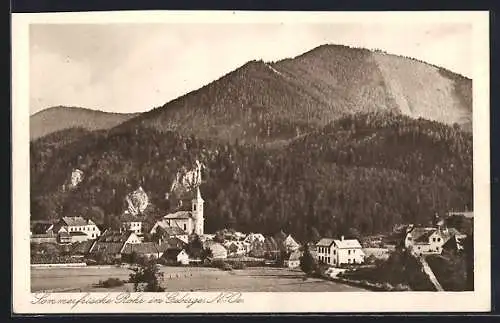 AK Rohr im Gebirge, Ortsansicht und bewaldete Hänge